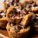 Peanut Butter Chocolate Chip Bites