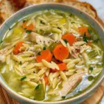 Chicken Orzo Soup
