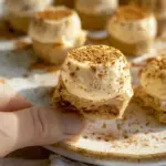 High Protein Pumpkin Spice Cheesecake Bites