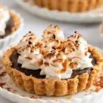 S’mores Tartlets
