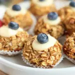 Air Fryer Oatmeal Bites