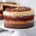 Tuxedo Cake - Triple Chocolate Mousse Cake