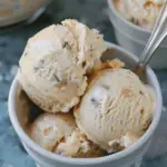 5 Ingredient Sea Salt & Honey Protein Ice Cream
