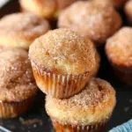 Cinnamon Sugar Donut Muffins
